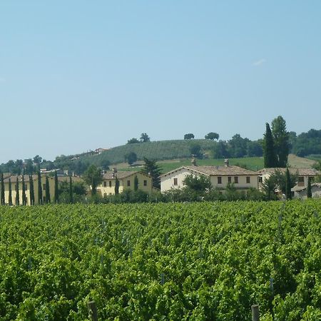 Agriturismo Villaggio Green Монтефалько Экстерьер фото