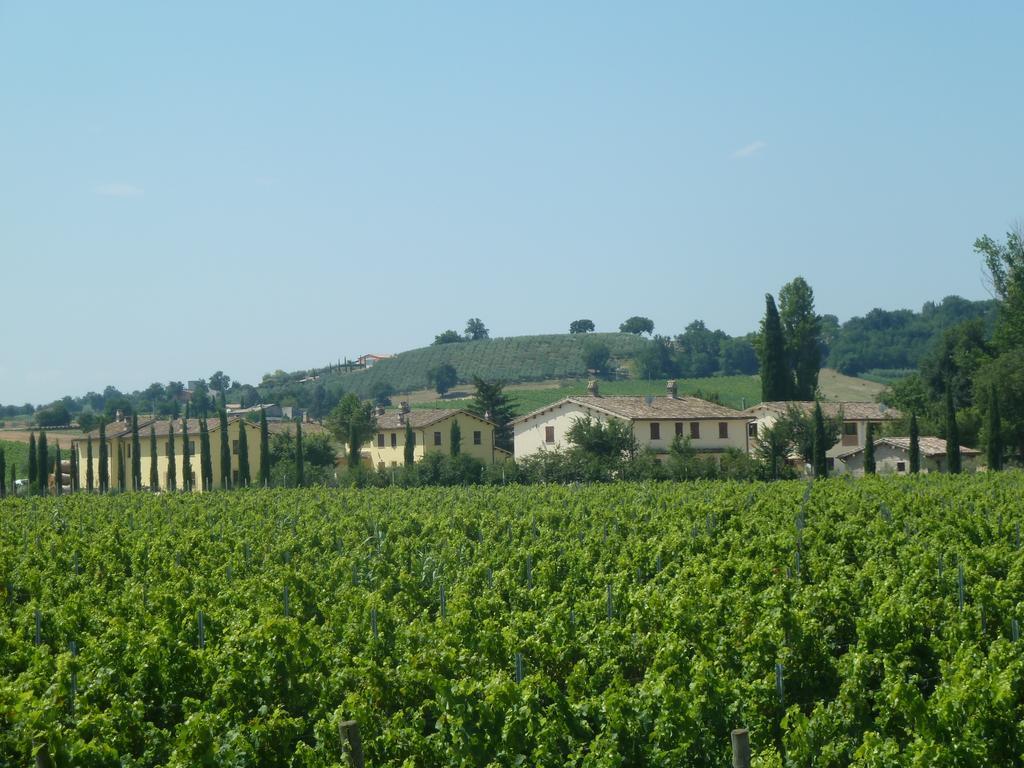 Agriturismo Villaggio Green Монтефалько Экстерьер фото